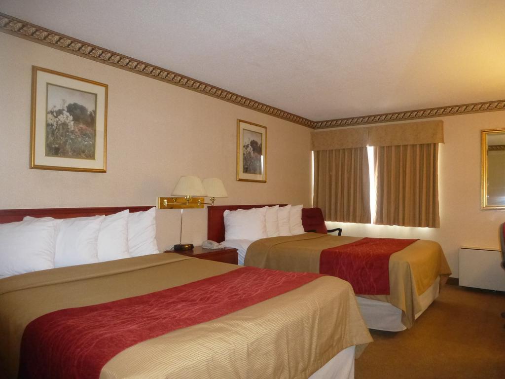 Comfort Inn Meadowvale Mississauga Værelse billede
